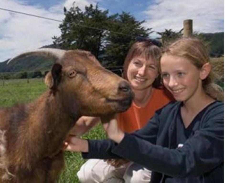Smiths Farm Holiday Park Linkwater المظهر الخارجي الصورة